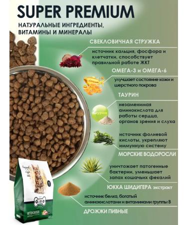 Gina Dry food for pregnant women feeding cats and kittens 1 kg - Buy Online on GoSupps.com