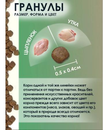 Gina Dry food for pregnant women feeding cats and kittens 1 kg - Buy Online on GoSupps.com