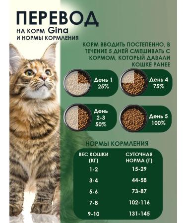 Gina Dry food for pregnant women feeding cats and kittens 1 kg - Buy Online on GoSupps.com