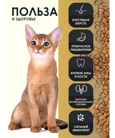 Gina Cat Rabbit & Rice Dry Cat Form 3 kg - Buy Online on GoSupps.com