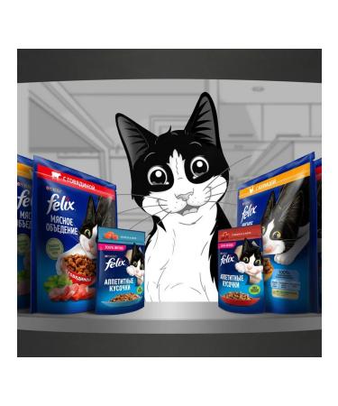 FELIX Dry meat eating for cats beef 0.6 kg - Buy Online on GoSupps.com