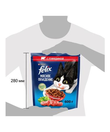 FELIX Dry meat eating for cats beef 0.6 kg - Buy Online on GoSupps.com