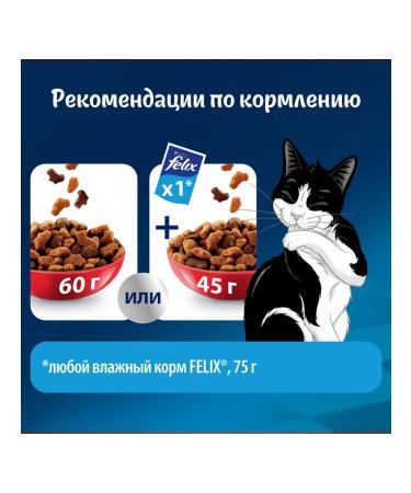 FELIX Dry meat eating for cats beef 0.6 kg - Buy Online on GoSupps.com