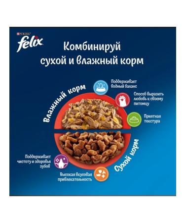 FELIX Dry meat eating for cats beef 0.6 kg - Buy Online on GoSupps.com