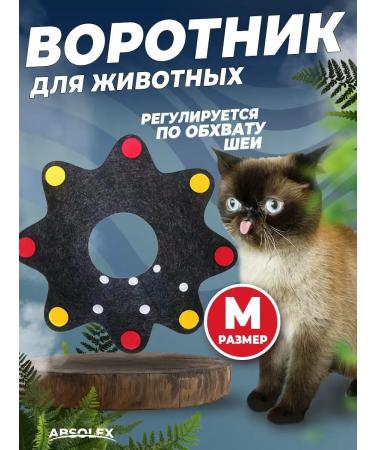 Absolex Protective collar for a cat for dogs