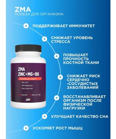PROTEINCOMPANY ZMA complex Buster testosterone zma - Buy Online on GoSupps.com