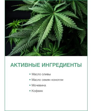 Thai Traditions Feet cream with urea moisturizing from edema cracks in the heels - Buy Online on GoSupps.com