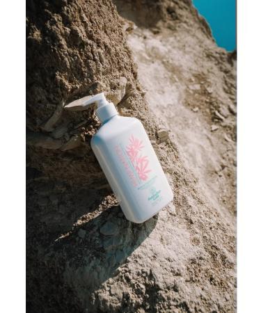 Australian Gold Hemp National Kiwi & Cactus Water moisturizing - Buy Online on GoSupps.com