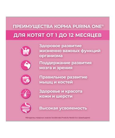 PURINA ONE Feed for kittens dry chicken Zlaki 0.75 kg - Buy Online on GoSupps.com