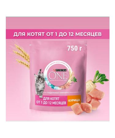 PURINA ONE Feed for kittens dry chicken Zlaki 0.75 kg - Buy Online on GoSupps.com