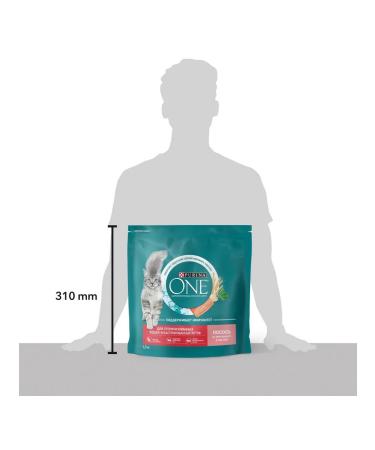 PURINA ONE Dry food for sterilized cats salmon wheat 1.5 kg - Buy Online on GoSupps.com
