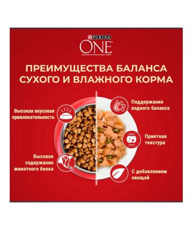 PURINA ONE Dry -mini food for active small breeds 0.6 kg - Buy Online on GoSupps.com