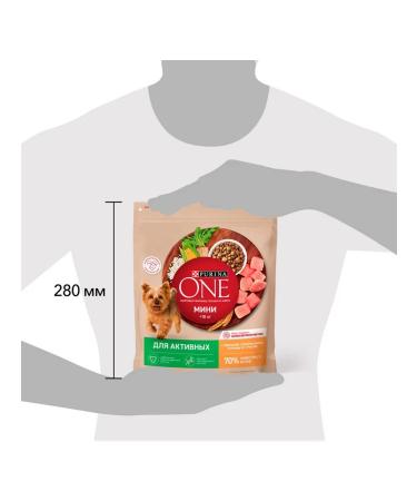 PURINA ONE Dry -mini food for active small breeds 0.6 kg - Buy Online on GoSupps.com