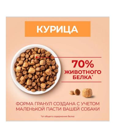 PURINA ONE Dry -mini food for active small breeds 0.6 kg - Buy Online on GoSupps.com