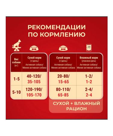 PURINA ONE Dry -mini food for active small breeds 0.6 kg - Buy Online on GoSupps.com