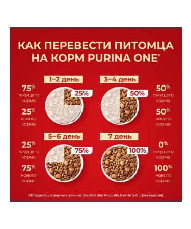 PURINA ONE Dog feed for Dry mini for digestion salmon 0.6 kg - Buy Online on GoSupps.com