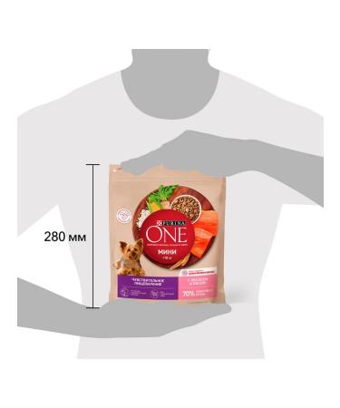 PURINA ONE Dog feed for Dry mini for digestion salmon 0.6 kg - Buy Online on GoSupps.com