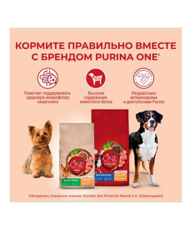 PURINA ONE Dog feed for Dry mini for digestion salmon 0.6 kg - Buy Online on GoSupps.com