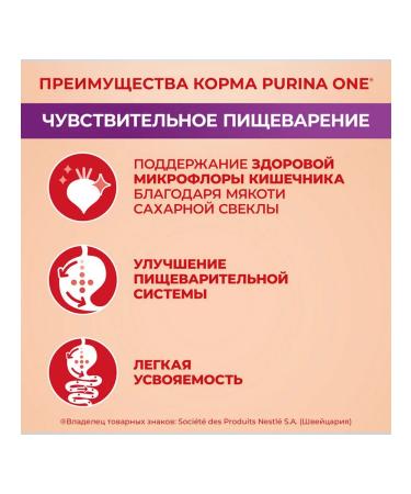 PURINA ONE Dog feed for Dry mini for digestion salmon 0.6 kg - Buy Online on GoSupps.com