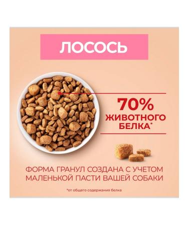 PURINA ONE Dog feed for Dry mini for digestion salmon 0.6 kg - Buy Online on GoSupps.com