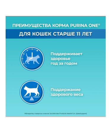 PURINA ONE Dry food for elderly cats chicken is 0.75 kg - Buy Online on GoSupps.com