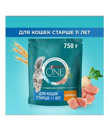 PURINA ONE Dry food for elderly cats chicken is 0.75 kg - Buy Online on GoSupps.com