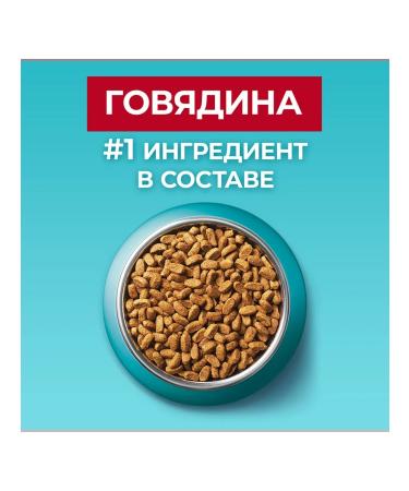 PURINA ONE Dry food for sterilized cats 0.75 kg - Buy Online on GoSupps.com