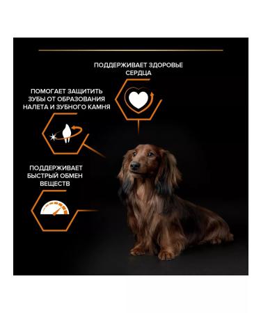 PRO PLAN Dry food EVERYDAY NUTRITION for small dogs chicken 0.7 kg - Buy Online on GoSupps.com