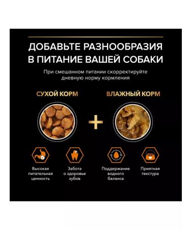 PRO PLAN Dog food dry Medium for medium breeds chicken 7 kg - Buy Online on GoSupps.com