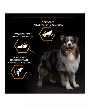 PRO PLAN Dog food dry Medium for medium breeds chicken 7 kg - Buy Online on GoSupps.com