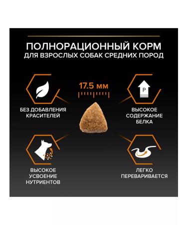 PRO PLAN Dog food dry Medium for medium breeds chicken 7 kg - Buy Online on GoSupps.com