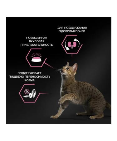 PRO PLAN Dry food for cats sensitive lambs 1.5 kg - Buy Online on GoSupps.com
