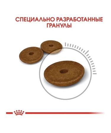 ROYAL CANIN Digestive Care 2 kg - Buy Online on GoSupps.com