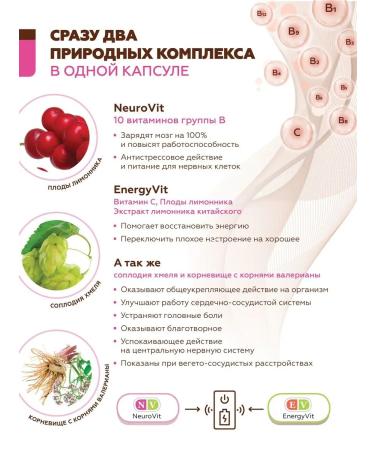 Areda phytocomplexes Vitaspertor-in phytocomplex for energy - Buy Online on GoSupps.com