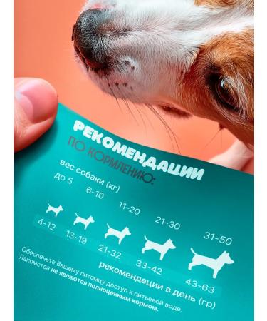 Natural treats for dogs Cookies of treats for dogs and beef cats - Buy Online on GoSupps.com