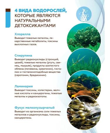 Areda phytocomplexes Phytocomplex "Metamarin" - Buy Online on GoSupps.com