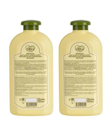 Grandma Agafia's Recipes Shampoo power and hair restoration of 500ml 2pcs - Buy Online on GoSupps.com