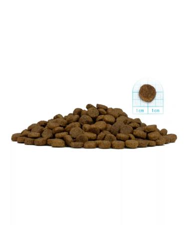 Forza10 Feed for small dogs dry diet fish for an allergy of 1.5 kg - Buy Online on GoSupps.com