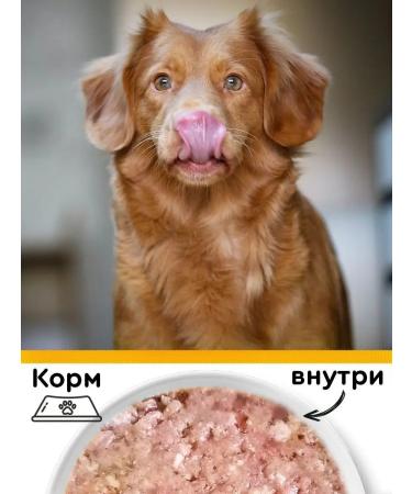 Petibon Dog feed is moist 240 g 12 pcs (tel. Indt) - Buy Online on GoSupps.com