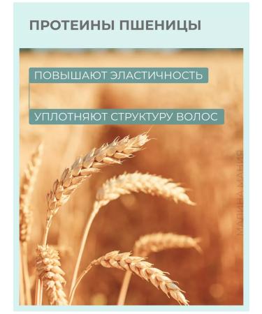 Alfaparf Milano SDL restoring shampoo for dry hair 250 ml - Buy Online on GoSupps.com