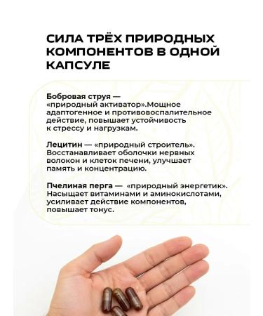The Beaver's Secret Complex with lecithin for the brain and memory of Sasher 1 pcs - Buy Online on GoSupps.com