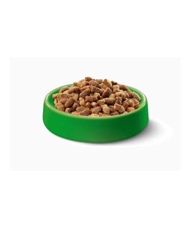 Kitekat Adult cat food fish 1.9 kg - Buy Online on GoSupps.com