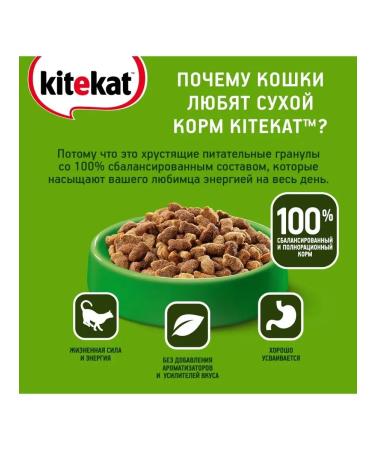 Kitekat Adult cat food fish 1.9 kg - Buy Online on GoSupps.com