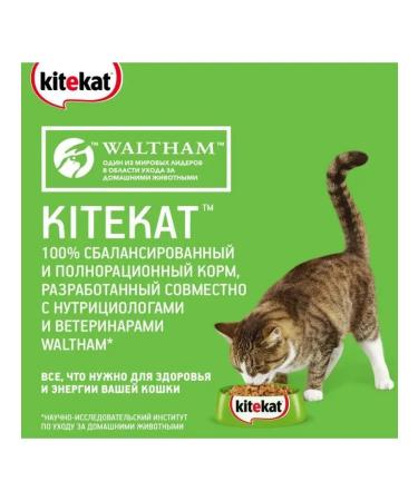 Kitekat Adult cat food veal 15kg - Buy Online on GoSupps.com