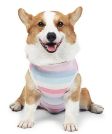 KLIMASHIN Popon postoperative for dogs - Buy Online on GoSupps.com