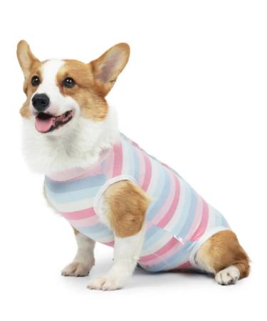 KLIMASHIN Popon postoperative for dogs - Buy Online on GoSupps.com