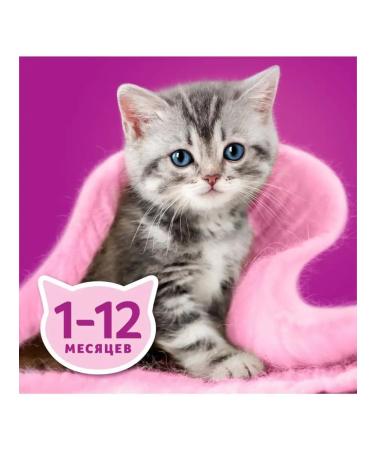 WHISKAS Wet food for kittens lamb stew 28x75g - Buy Online on GoSupps.com