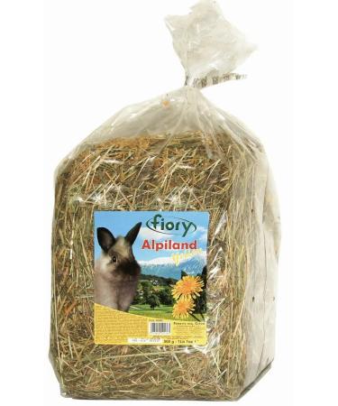 FIORY Hay for rodents Alpine with dandelion 500g