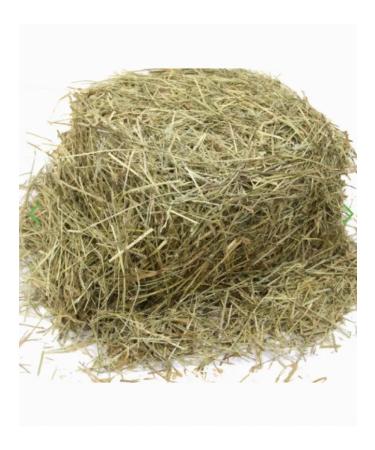 FIORY Hay for rodents Alpine with dandelion 500g - Buy Online on GoSupps.com