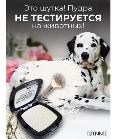 Fennel Finish powder compact HD FINISH POWDER - JASMINE - Buy Online on GoSupps.com